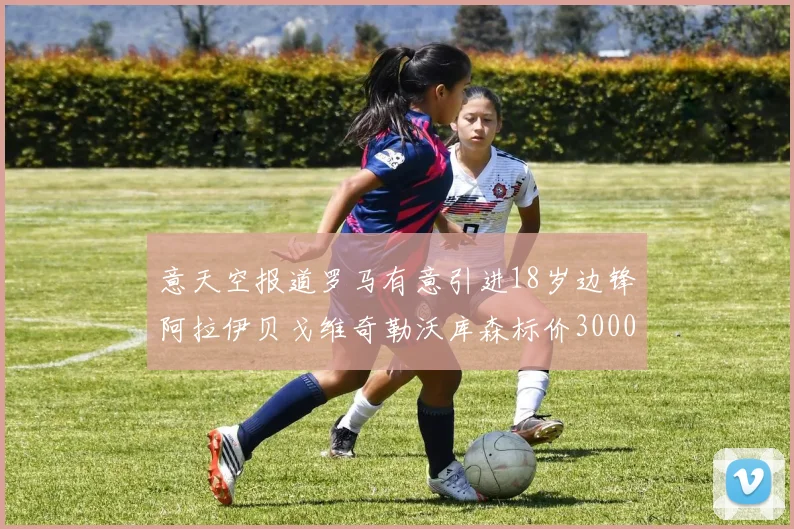意天空报道罗马有意引进18岁边锋阿拉伊贝戈维奇勒沃库森标价3000万欧元