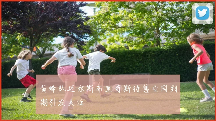 黄蜂队迈尔斯布里奇斯待售合同到期引发关注
