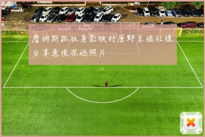 詹姆斯孤独身影映衬原野乐福社媒分享意境深远照片